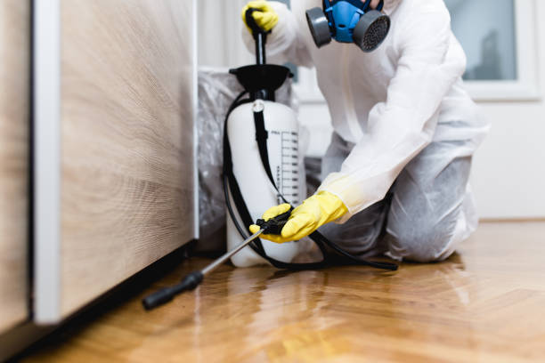 Reliable St John, IN Pest Control Solutions