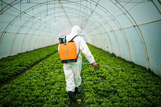 Best Mosquito Control Services  in St John, IN