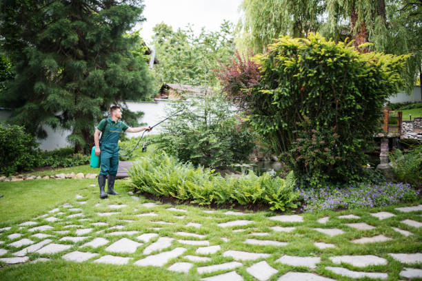 Best Pest Inspection Near Me  in St John, IN