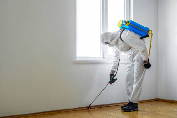 Best Emergency Pest Control  in St John, IN