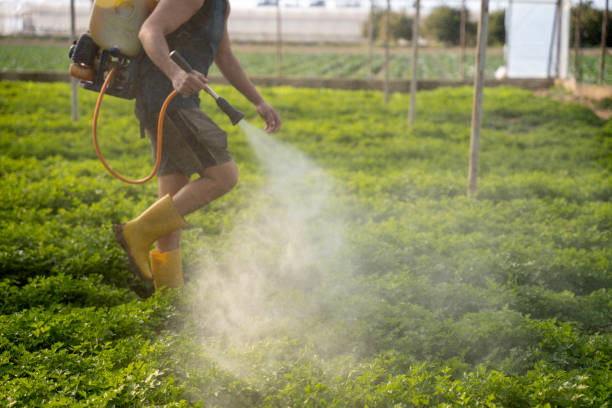 Best Best Pest Control Near Me  in St John, IN
